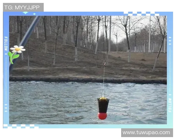 从零起步掌握滑板技巧与战术的全面指南与实战经验分享