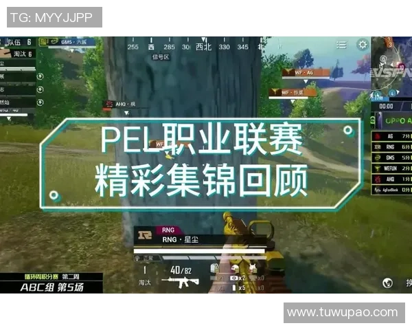 和平精英状态排行榜最新更新RNG战队排名第九引发关注与讨论