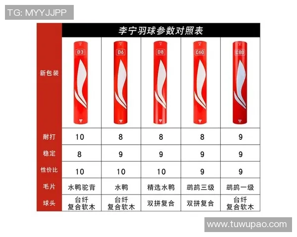 羽毛球装备选购指南：必备护具推荐与使用技巧分享