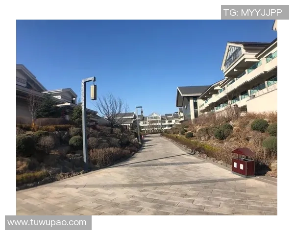 南京飞盘队荣登全国团队协作排行榜首位展现卓越团队精神与竞技实力